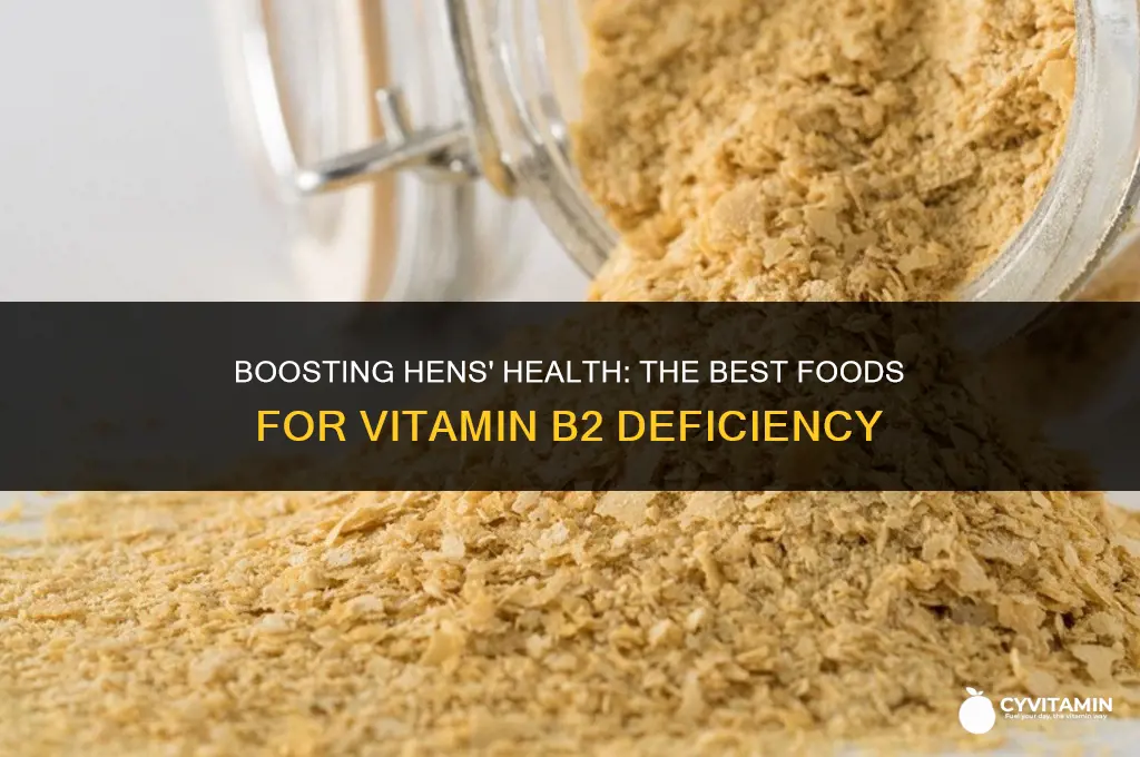what to feed hen for vitamin b2 deficiency
