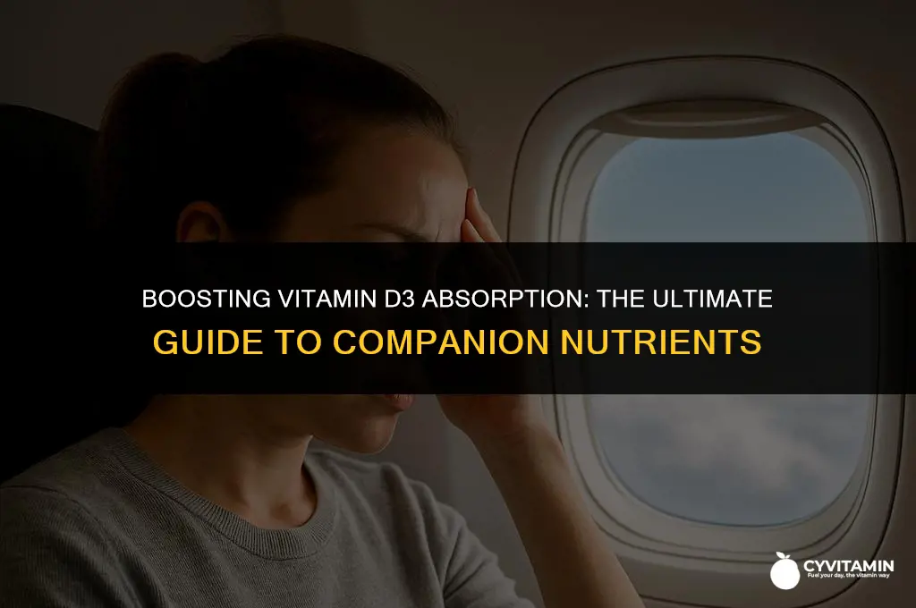 what to take vitamin d3 with