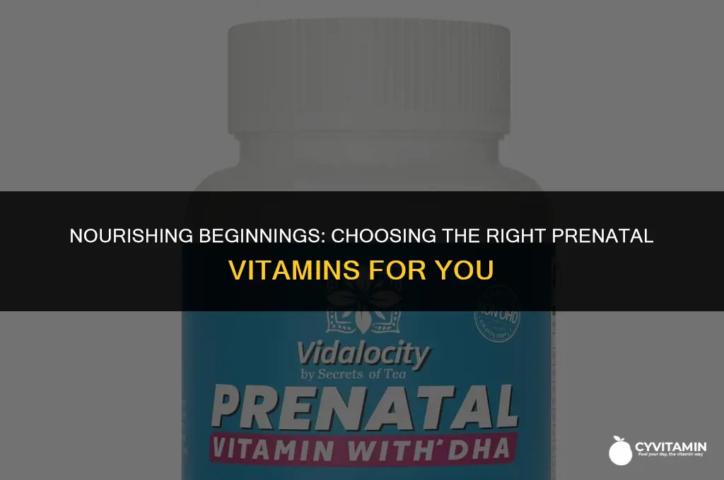 what type of prenatal vitamins should i take