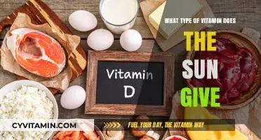 Sun-Kissed Nutrition: Unveiling the Vitamin D Connection