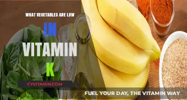 Exploring the Best Low-Vitamin K Vegetables for Your Diet