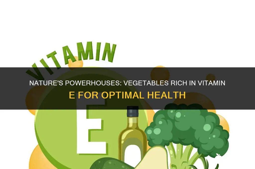 what vegetables contain vitamin e