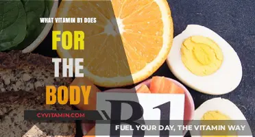 Unlocking the Power of Vitamin B1: Essential Benefits for Your Body