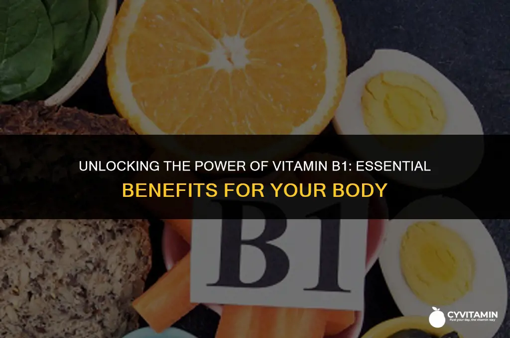what vitamin b1 does for the body