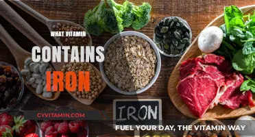 Boost Your Iron Intake: The Essential Vitamin Guide