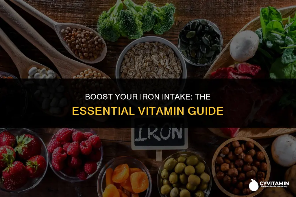 what vitamin contains iron