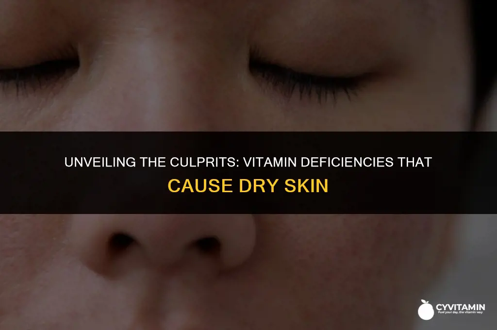 what vitamin deficiencies lead to dried skin