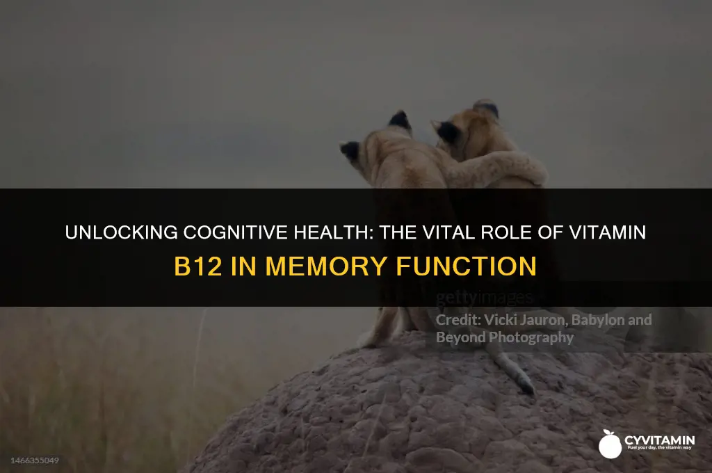 what vitamin deficiency affects memory