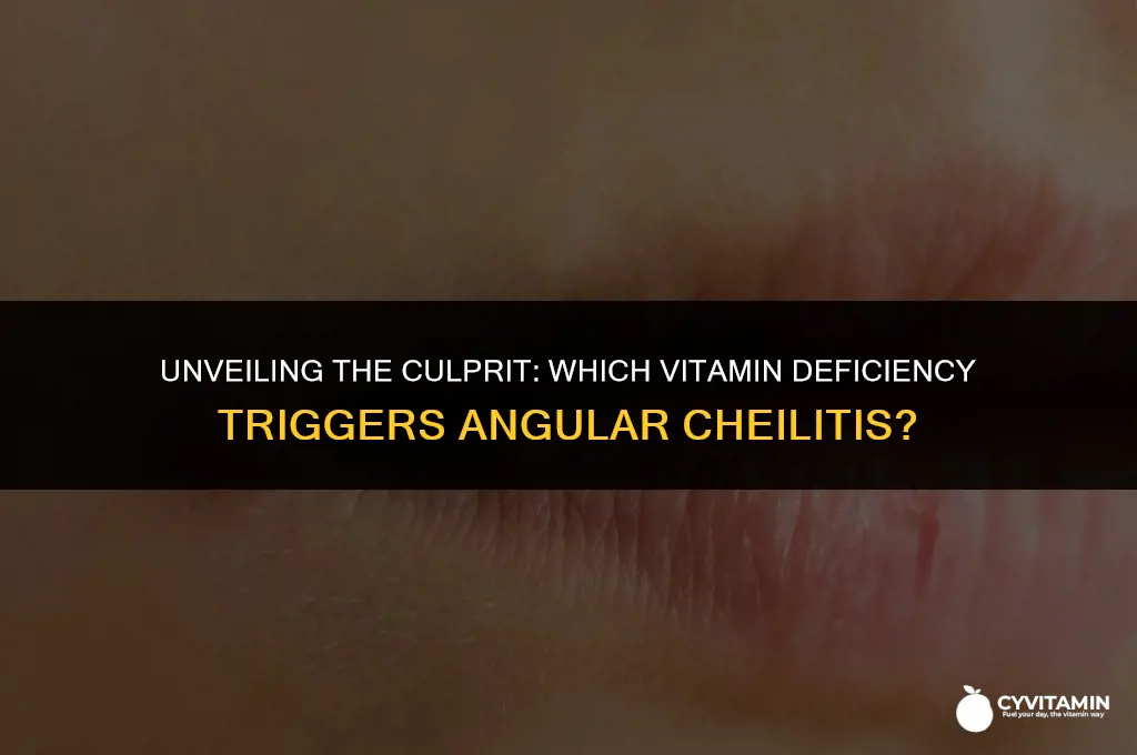 what vitamin deficiency causes angular cheilitis
