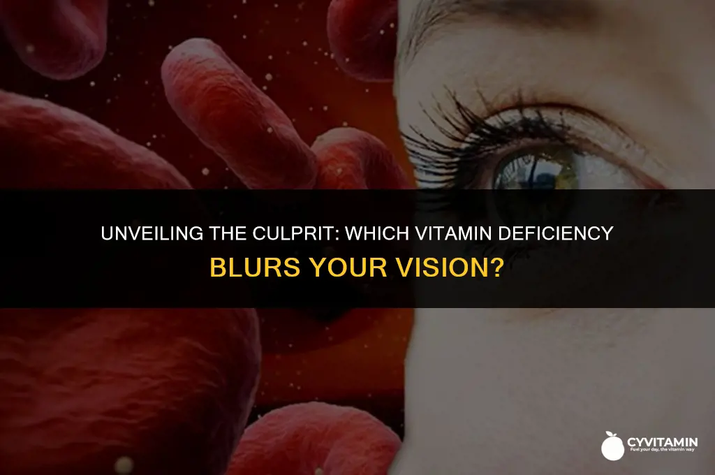 what vitamin deficiency causes blurry vision