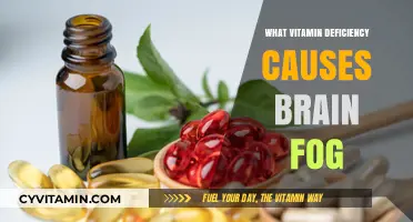 Unveiling the Culprit: Which Vitamin Deficiency Triggers Brain Fog?
