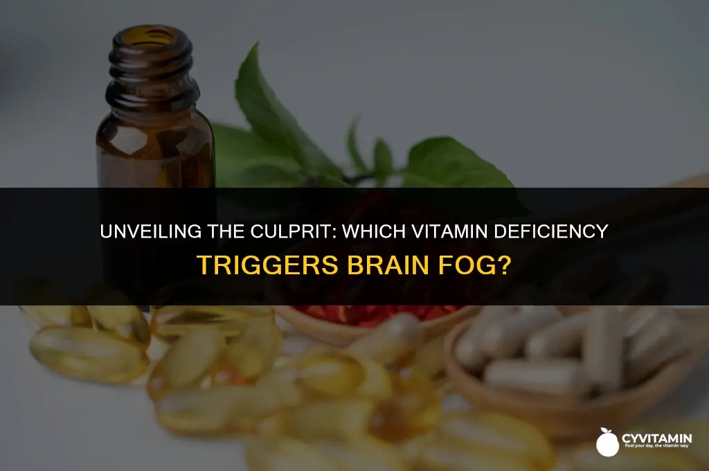 what vitamin deficiency causes brain fog