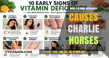 Unraveling the Mystery: Which Vitamin Deficiency Triggers Charlie Horses?