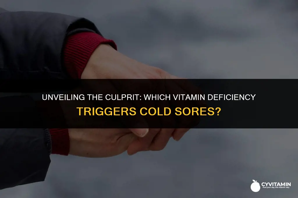what vitamin deficiency causes cold sores