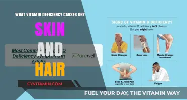 Unveiling the Culprit: Which Vitamin Deficiency Triggers Dry Skin and Hair?