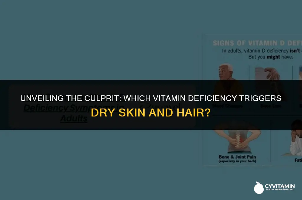 what vitamin deficiency causes dry skin and hair