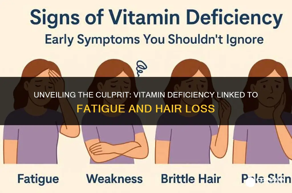 what vitamin deficiency causes fatigue and hair loss