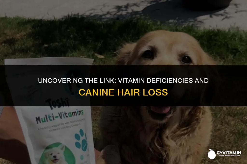 what vitamin deficiency causes hair loss in dogs