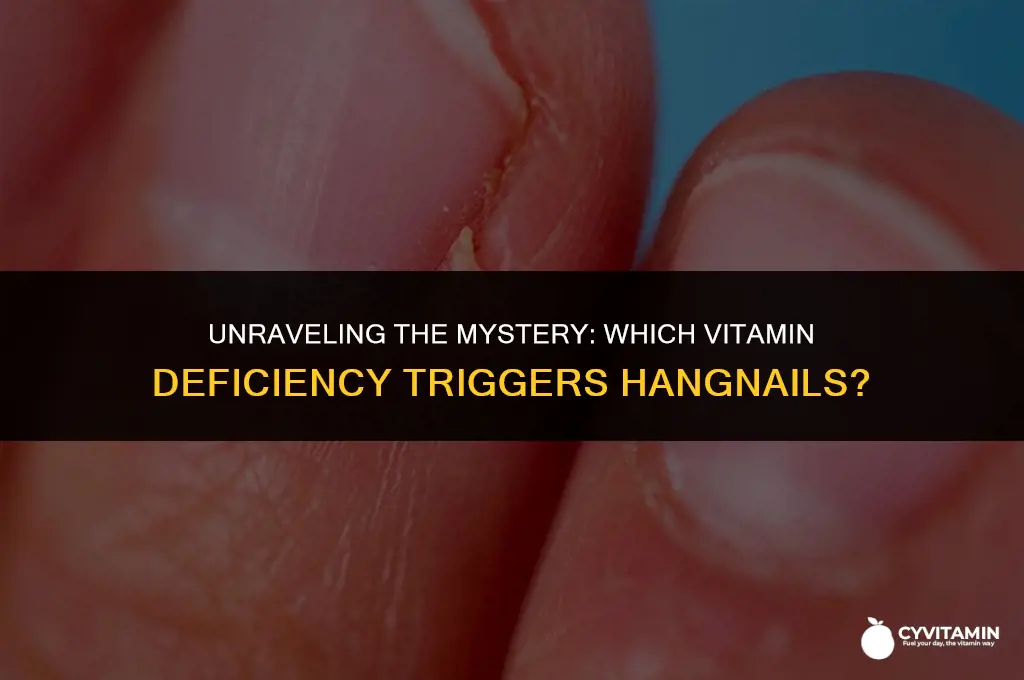 what vitamin deficiency causes hangnails