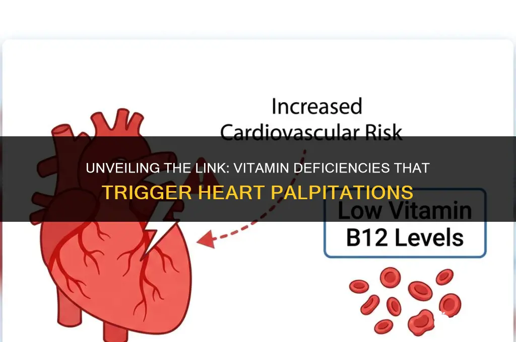 what vitamin deficiency causes heart palpitations