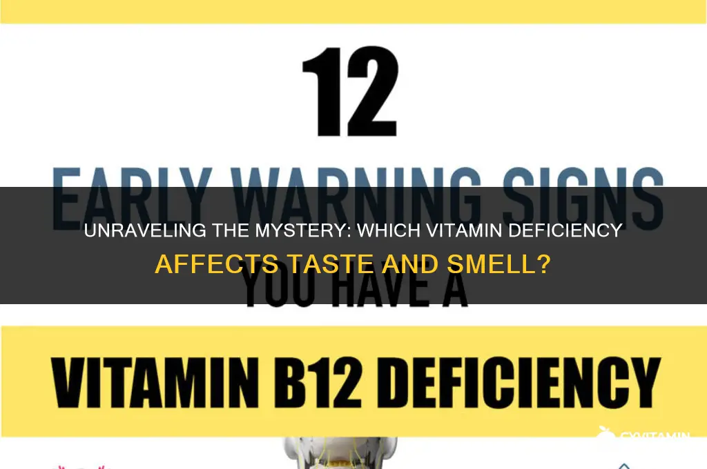 what vitamin deficiency causes loss of taste and smell