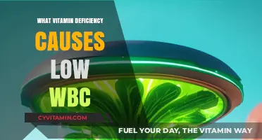 Boosting Immunity: The Vital Role of Vitamin Deficiency in Low WBC