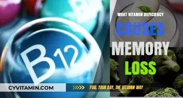 Unlocking the Mind: The Crucial Vitamin Deficiency Linked to Memory Loss