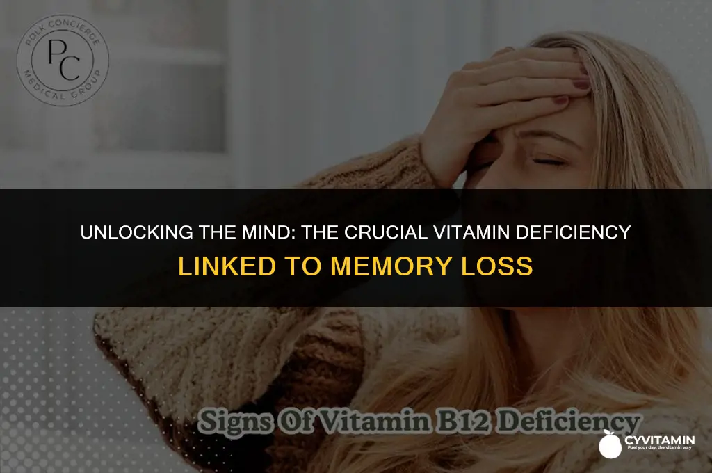 what vitamin deficiency causes memory loss