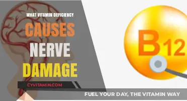 Unveiling the Culprit: Which Vitamin Deficiency Leads to Nerve Damage?