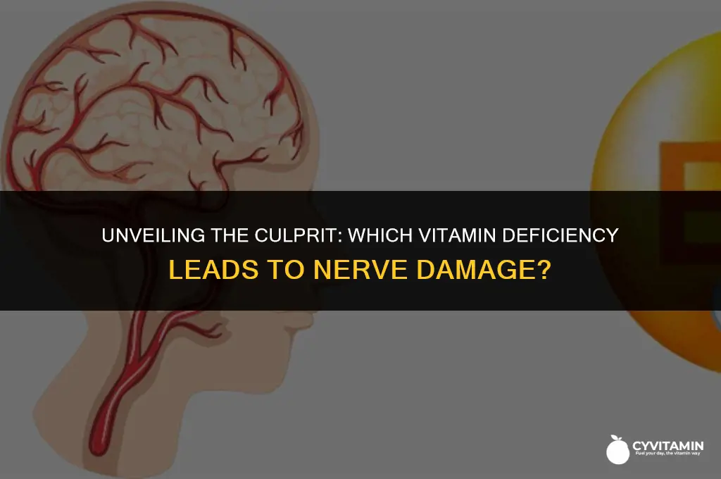 what vitamin deficiency causes nerve damage