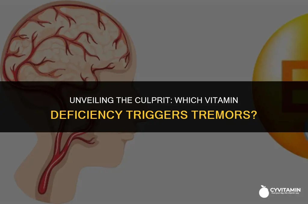 what vitamin deficiency causes tremors