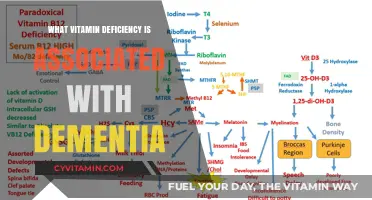 Unveiling the Link: Vitamin Deficiency and Dementia Risk