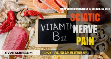 Unveiling the Vitamin Link to Sciatic Nerve Pain Relief