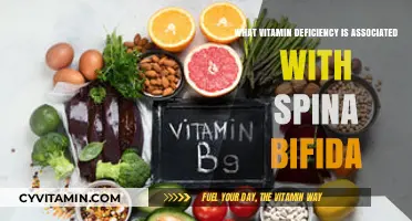 Exploring the Link Between Vitamin Deficiency and Spina Bifida