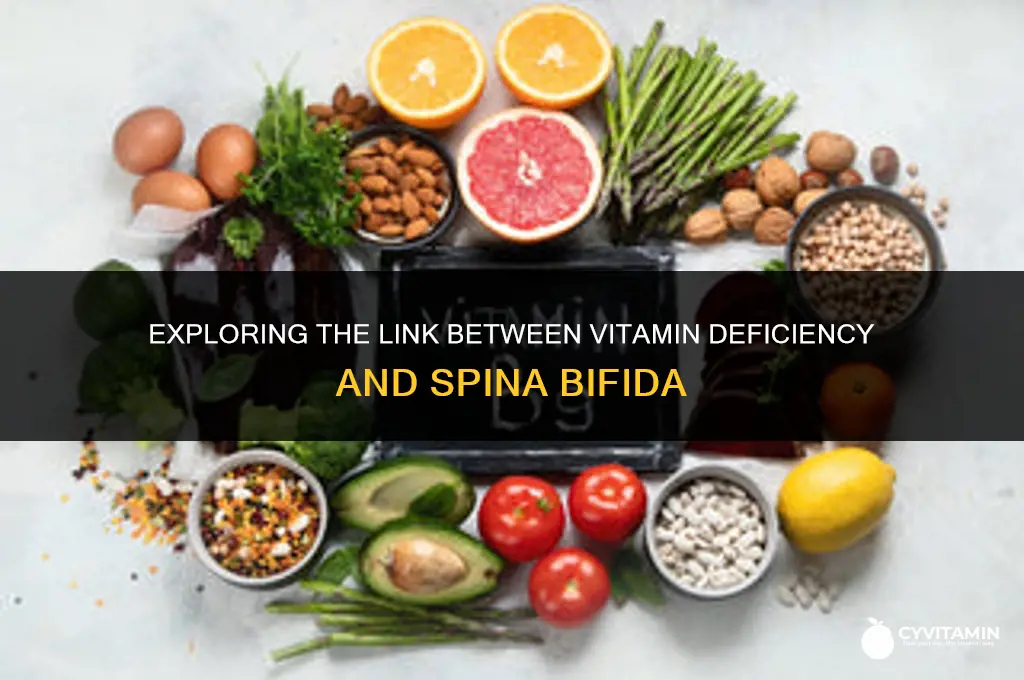 what vitamin deficiency is associated with spina bifida