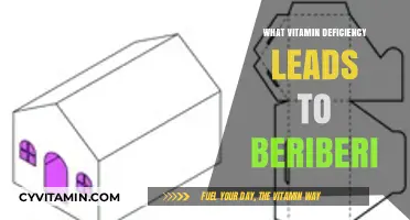 Unveiling the Culprit: Which Vitamin Deficiency Causes Beriberi?