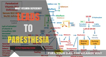 Unveiling the Vitamin Deficiency Behind Paresthesia: A Comprehensive Guide