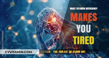 Unveiling Fatigue: The Vitamin Deficiency Culprit Behind Your Tiredness