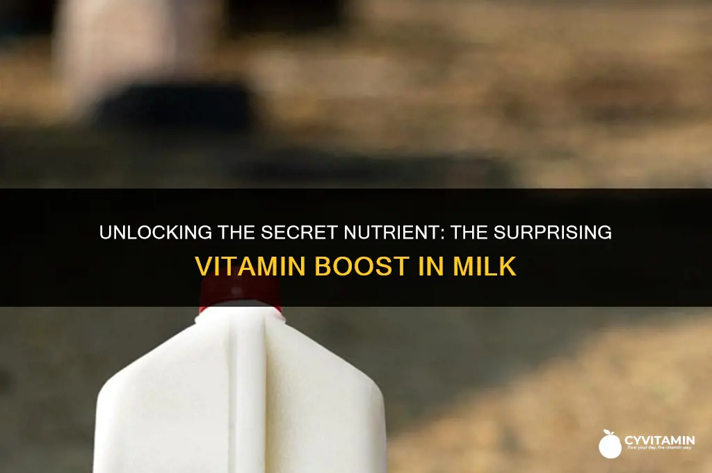 what vitamin do you get from milk