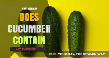 Exploring the Nutritional Benefits: What Vitamins Does Cucumber Contain?