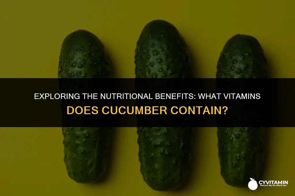 what vitamin does cucumber contain