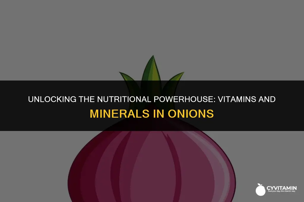 what vitamin does onion contain