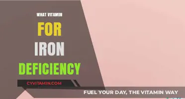 Boosting Iron Levels: The Essential Guide to Vitamin Supplements