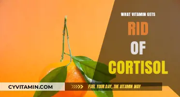 Natural Remedies to Lower Cortisol: The Role of Vitamins