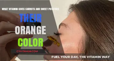 Unveiling Nature's Palette: The Vitamin Behind Orange Vegetables