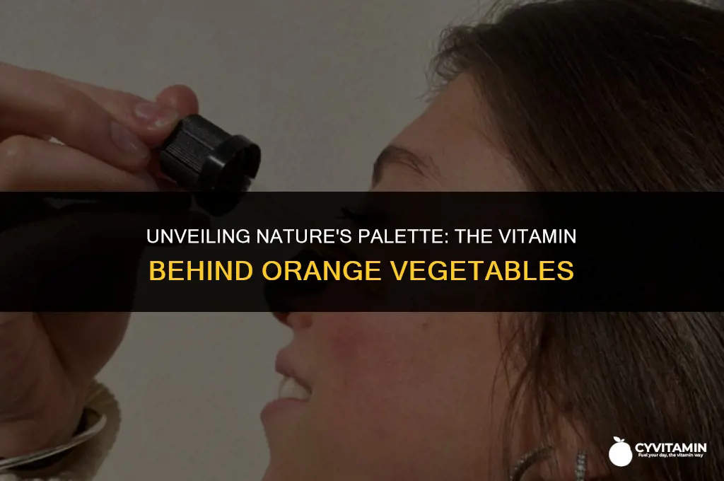 what vitamin gives carrots and sweet potatoes their orange color