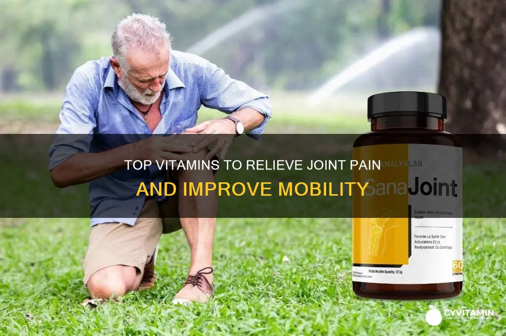 what vitamin is best for joint pain