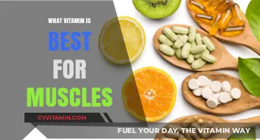 Boost Muscle Growth and Recovery: Top Vitamins for Strength