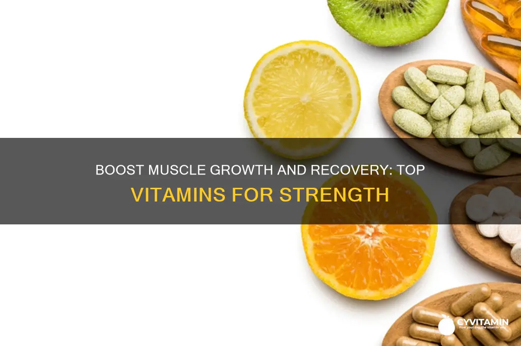 what vitamin is best for muscles