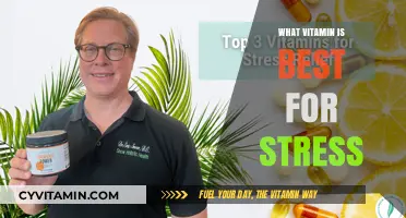 Combat Stress Naturally: Top Vitamins for Calm and Focus